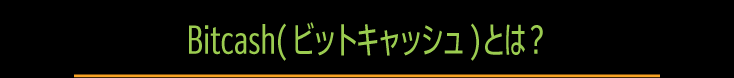 Bitcash(ビットキャッシュ)とは