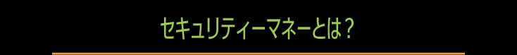 セキュリティーマネーとは