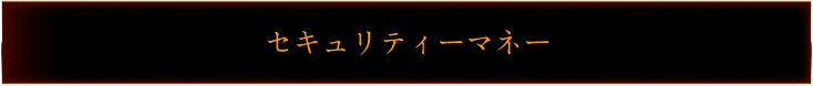 セキュリティーマネー