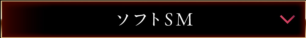 ソフトSM/セブン
