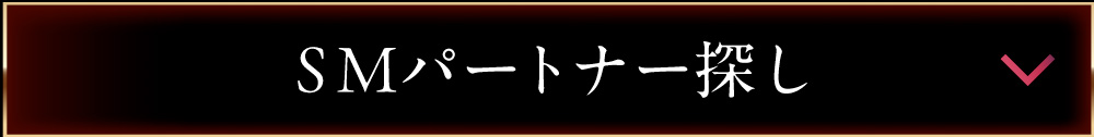 SMパートナー探し/ビビアン