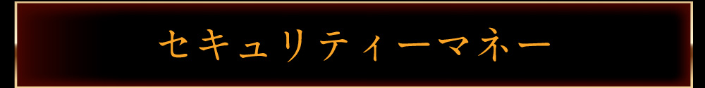 セキュリティーマネー