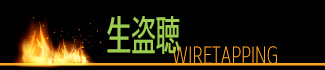 生盗聴